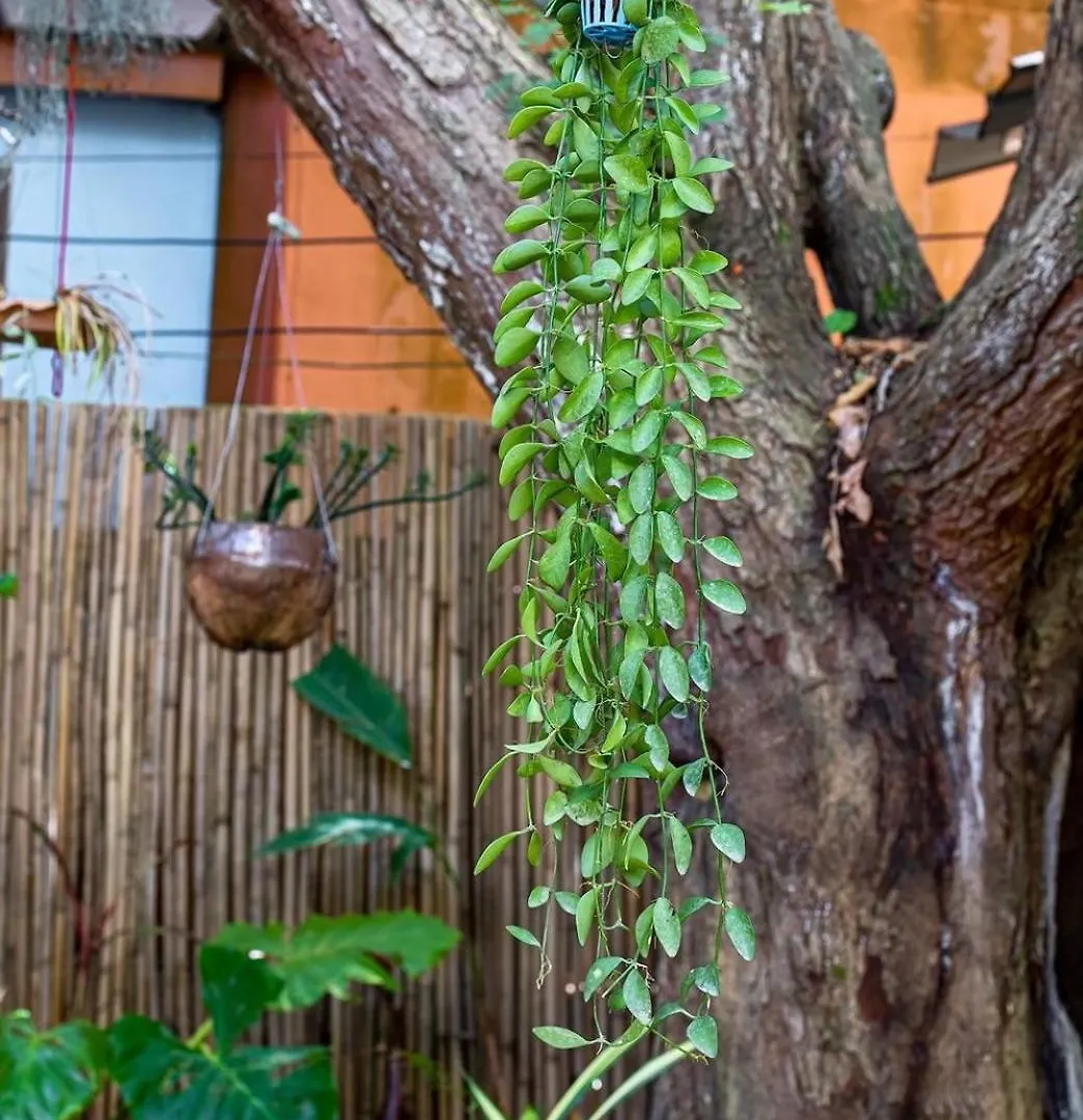 Hotel Klongnin Nature Hill Koh Lanta