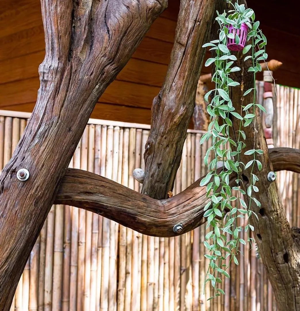 Klongnin Nature Hill Koh Lanta Thailand